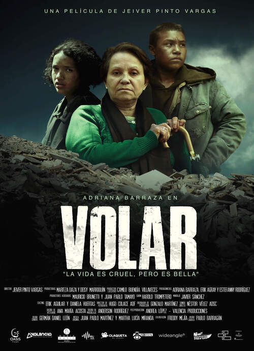 Póster de VOLAR